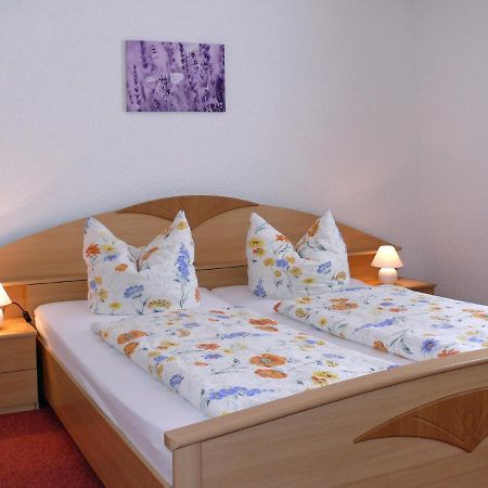 Ferienpension Gabriele 15 Kurort Gohrisch Exterior foto