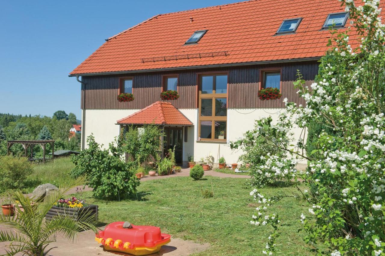 Ferienpension Gabriele 15 Kurort Gohrisch Exterior foto